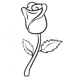 How to Draw a Rose, Step by Step, Flowers, Pop Culture, FREE ...