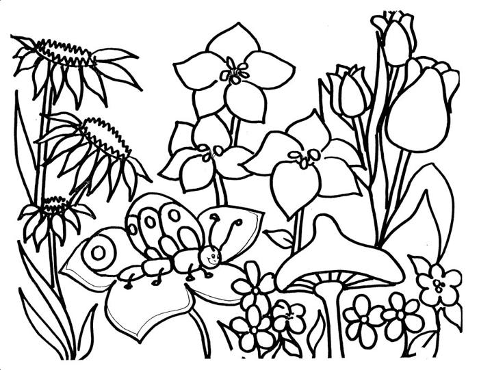 picture of flowers to colour | Pictures Reference