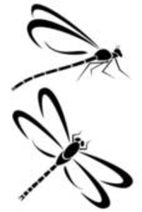 Dragonfly Outline Clipart