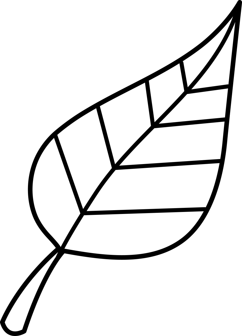 Leaf Outline - Clipartion.com