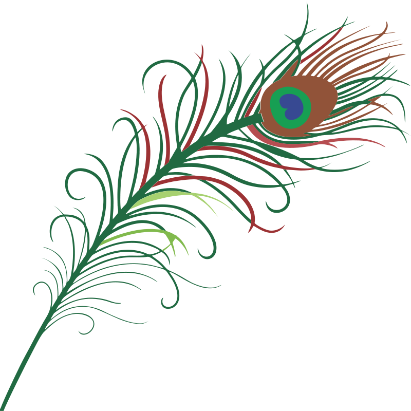 Feather Outline Single Clipart