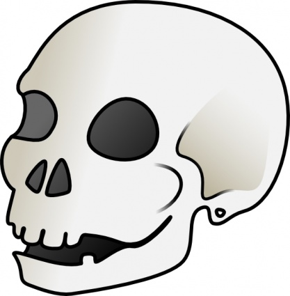 Clipart human skull