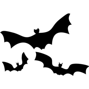 bat drawing - Polyvore