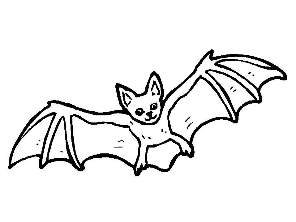 Bat Line Drawing ClipArt Best with Coloring Pages Draw A Bat ...