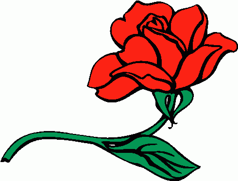 Single rose clip art - Cliparting.com