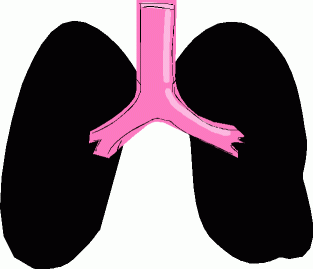 Lung 20clipart - Free Clipart Images