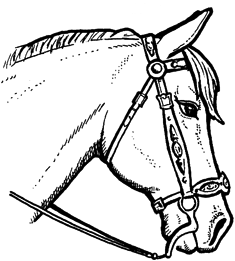 How to Draw a Horse