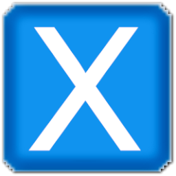 Letter X Icon