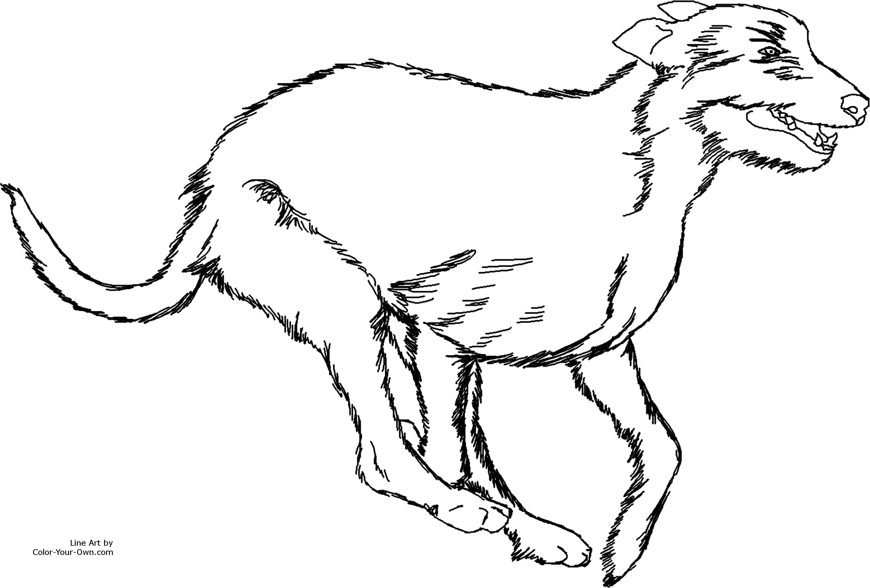 New Coloring Page - Irish Wolfhound Dog Coloring pages | Coloring ...