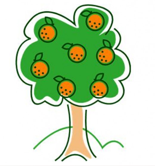 Orange Tree Clipart