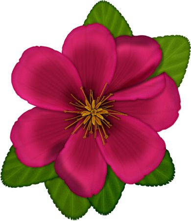 1000+ images about Flowers Clipart | Clip art, Videos ...