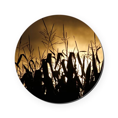 Corn field silhouettes Cork Coaster by LinceAzulPhoto