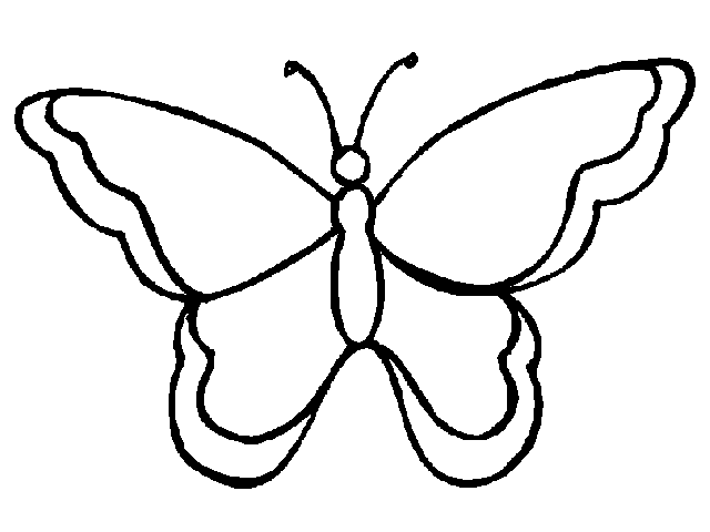 blank-butterfly-templates-clipart-best