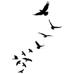 Little Birds Silhouette - ClipArt Best