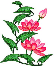 Water Lily Clip Art Clipart - Free to use Clip Art Resource