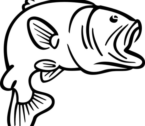 Bass Fish Coloring Pages - Free Clipart Images