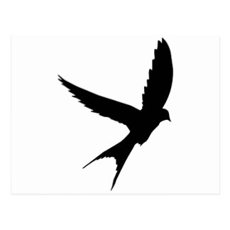Flying Bird Shadow Cards | Zazzle