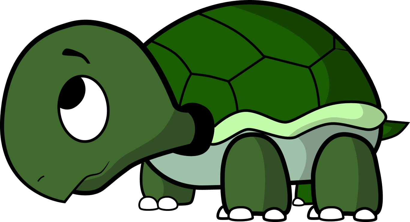 Turtle Images Cartoon