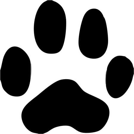 Dog Paw Prints Car Graphics