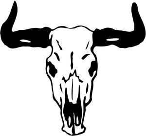 1000+ images about bull skull | Horns, Taurus bull ...