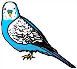 Free Parakeet Clipart