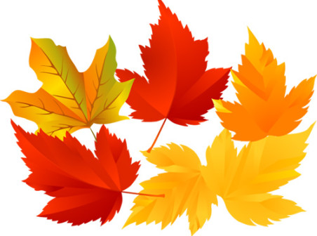 Free Vector Autumn Tree Leaf