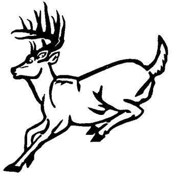 Buck Deer Outline - ClipArt Best