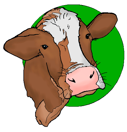 Cow Clip Art 8 - Cow on Green Circle