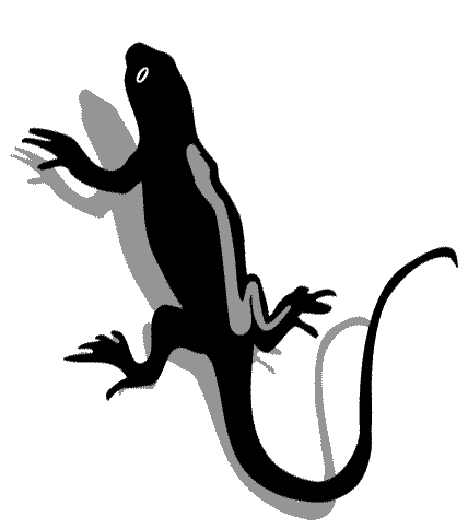 Drawings Of Lizards - ClipArt Best
