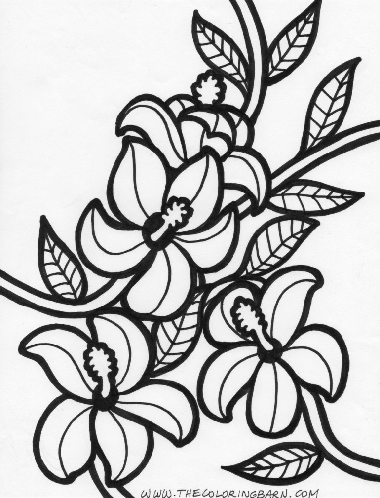 Hawaiian Flower Coloring Pages Flower Coloring Page Tropical ...