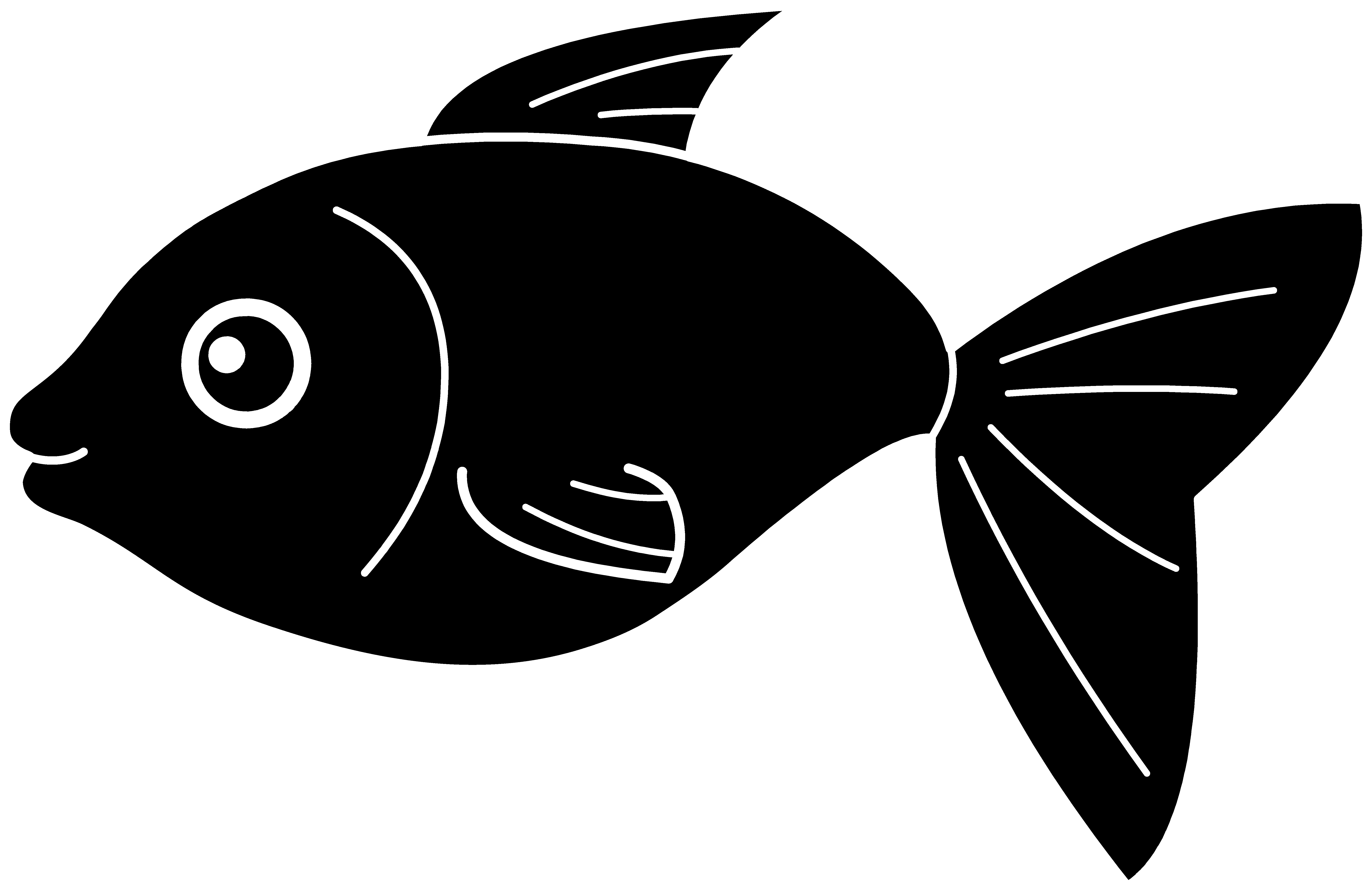 Fish Graphic