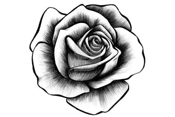 Cool Rose Designs To Draw - ClipArt Best