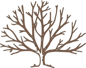 Winter Tree Outline - ClipArt Best