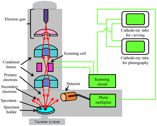 Microscope Lens Diagram - Free Clipart Images