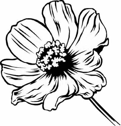 Beautiful Flower Coloring Pages With Delicate Forms of Natural ...