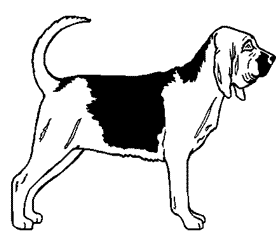 Bloodhound Clipart - ClipArt Best