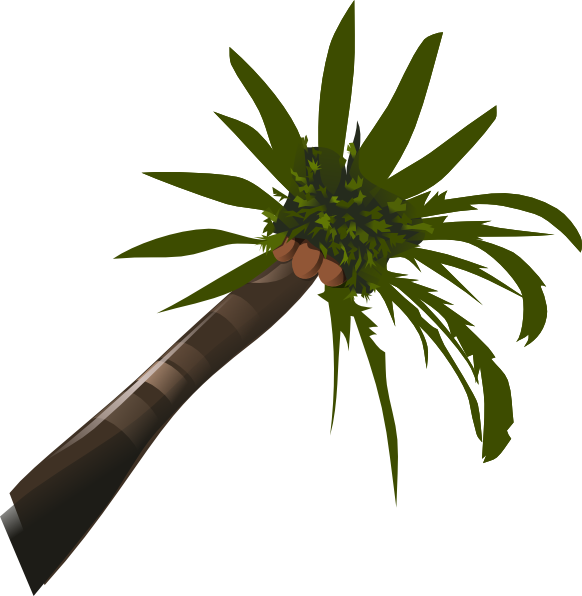 Coconut Tree Vector - ClipArt Best