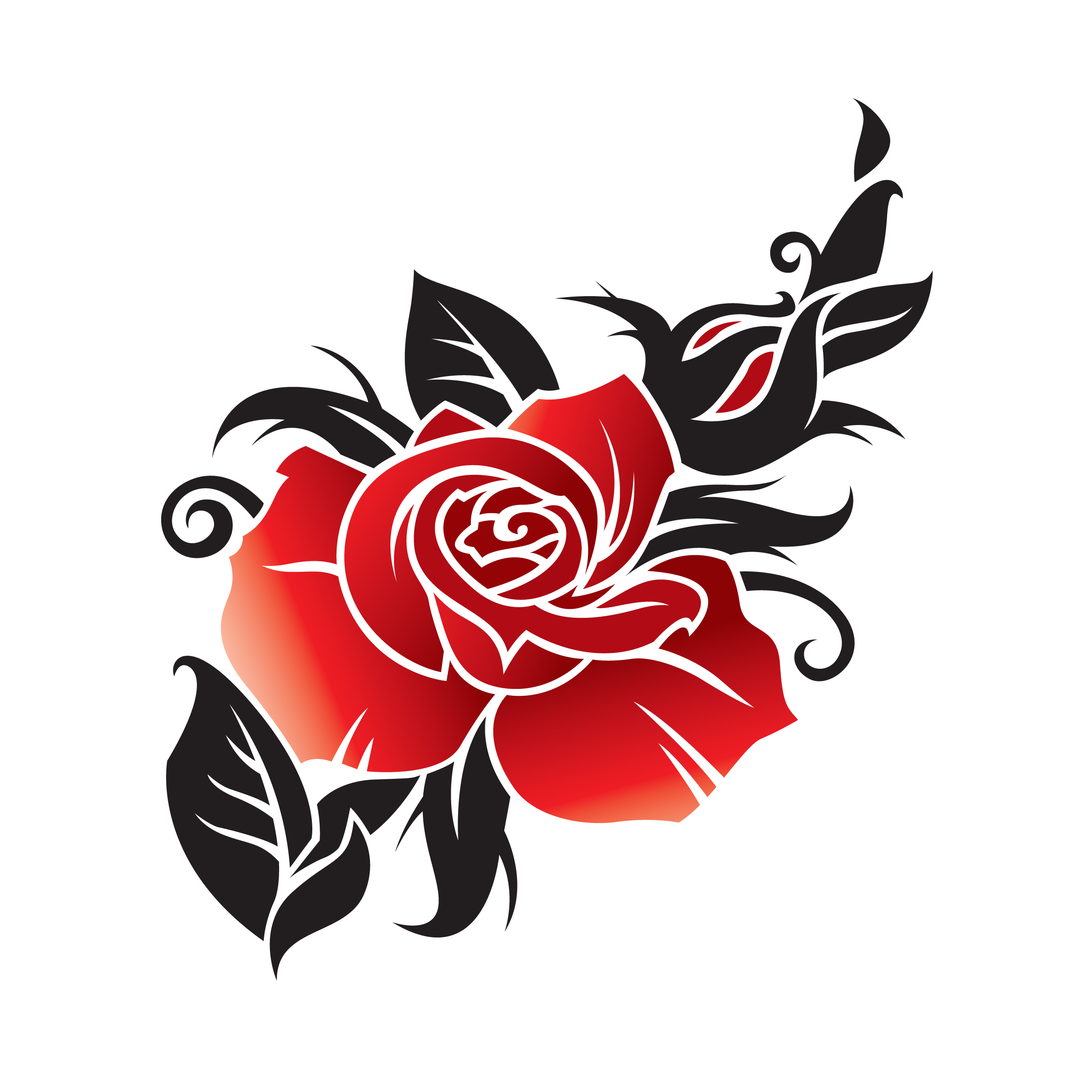 Roses rose clipart tattoo clipart image cliparting - Clipartix