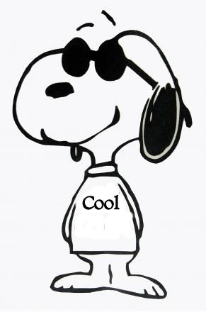 1000+ images about D & S Snoopy Tshirts | Music ...