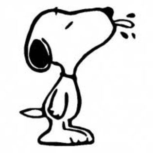 1000+ images about D & S Snoopy Tshirts | Music ...