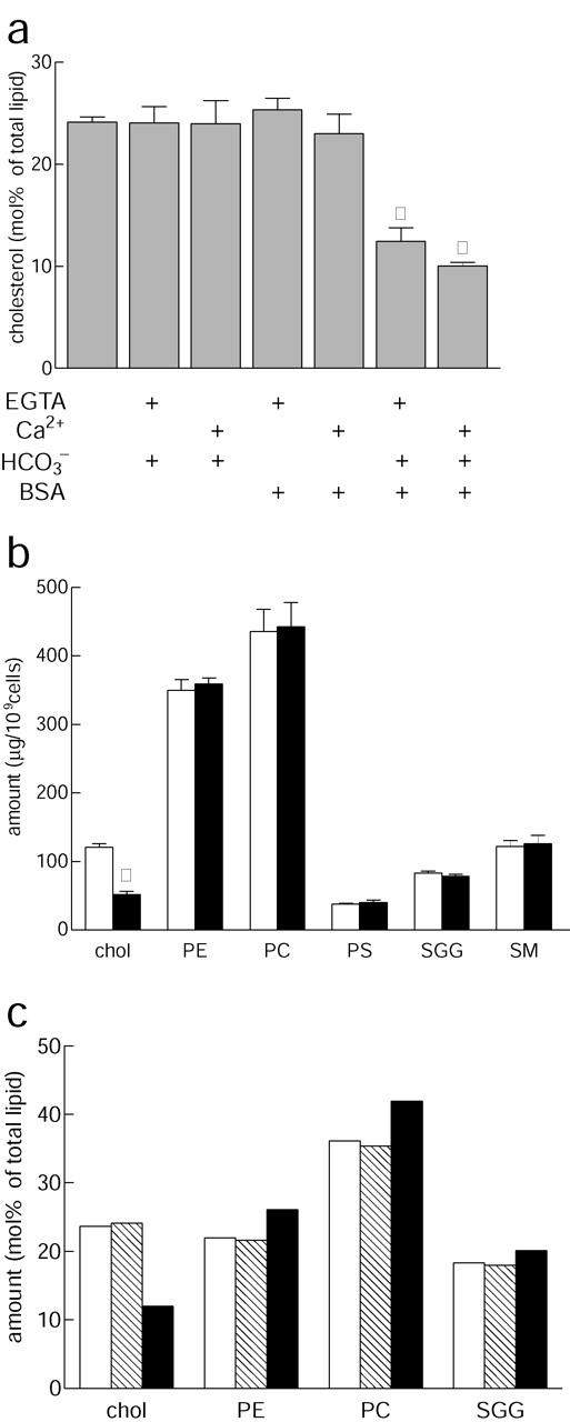 Bicarbonate stimulated phospholipid scrambling induces cholesterol ...