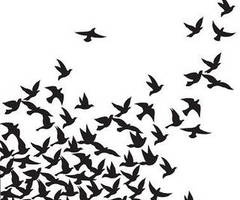 Bird Silhouette Tattoo Design - ClipArt Best