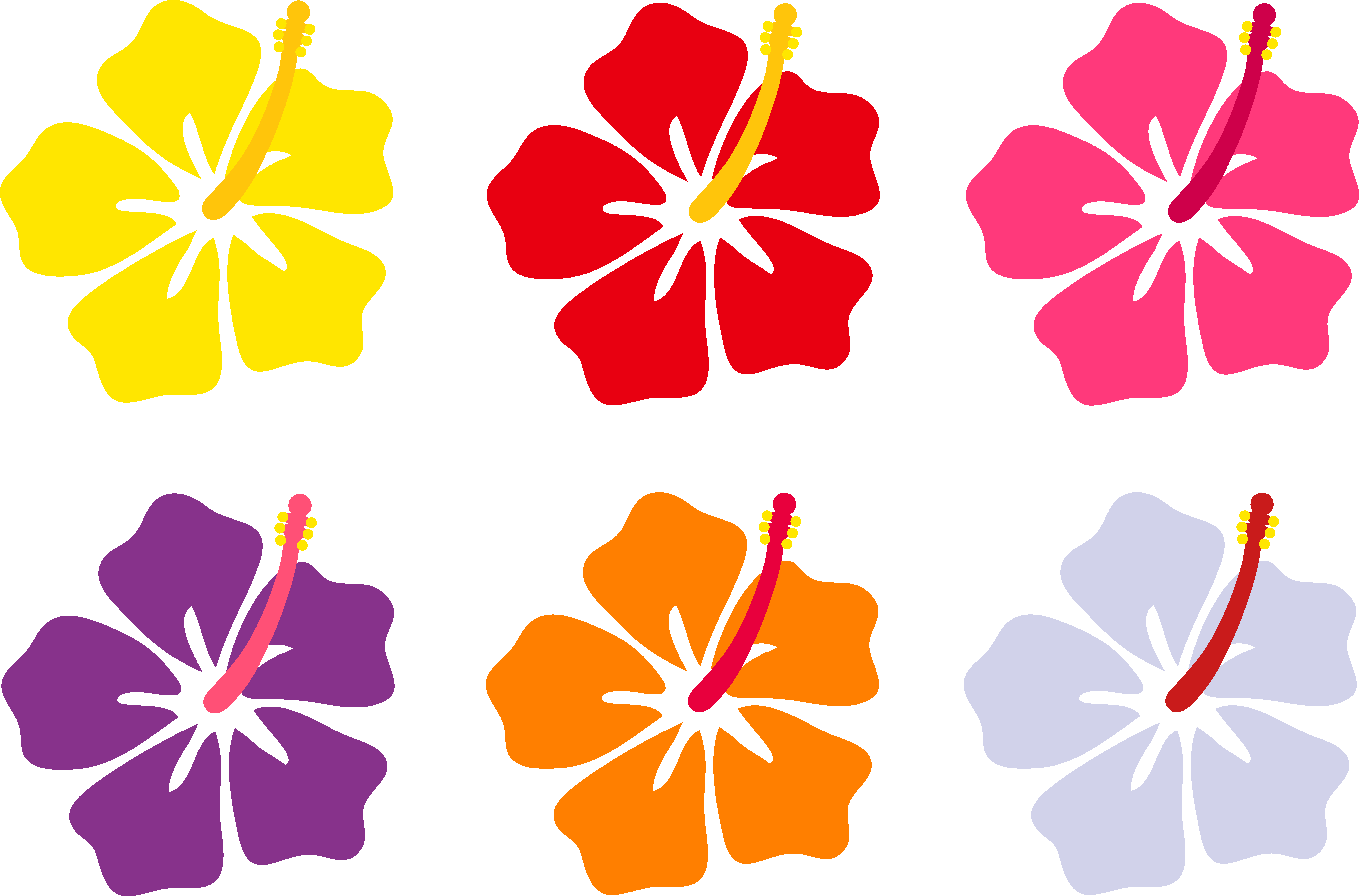 Hawaiian Flower Vector | Free Download Clip Art | Free Clip Art ...