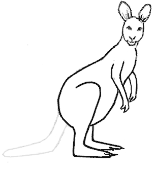 Kangaroo Drawing - ClipArt Best