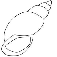 Top 25 Free Printable Shell Coloring Pages Online