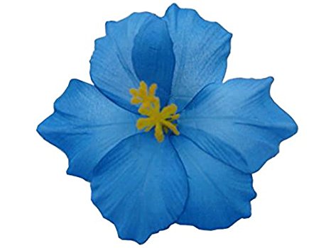 Amazon.com : Hawaiian Hibiscus Flower Hair Clip (Blue) : Beauty