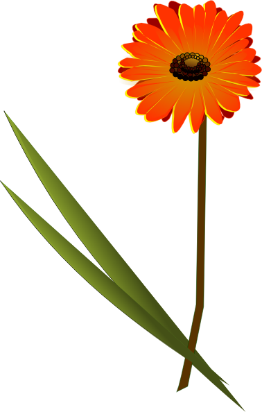 Gerbera Daisy Clipart