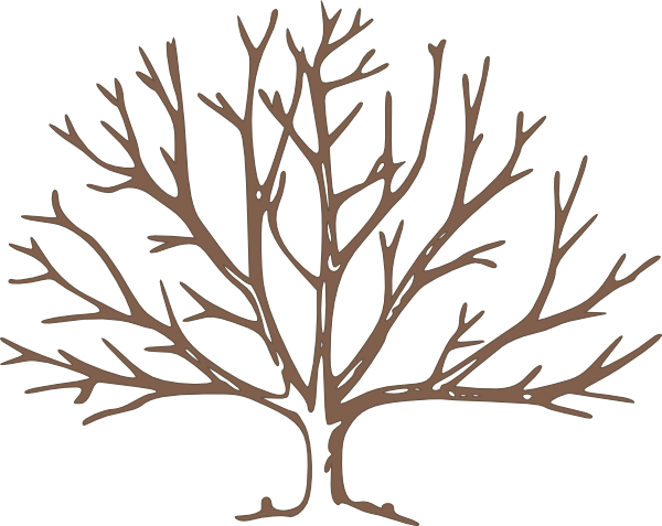 Brown Tree Without Leaves Clipart