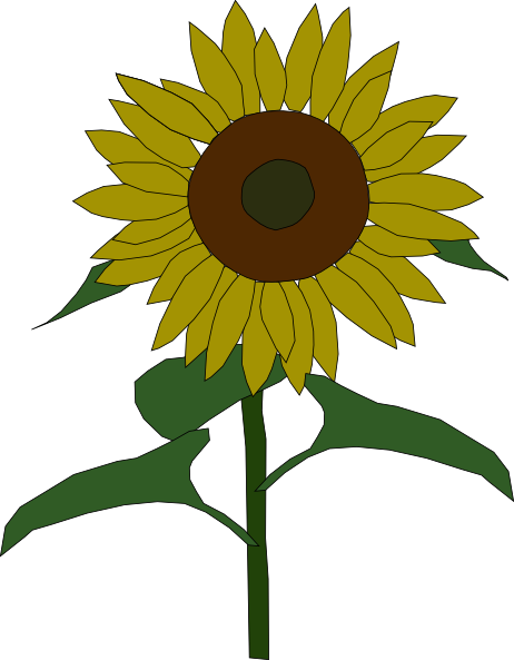 Sun Flower clip art Free Vector