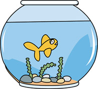 Fish bowl with water clipart